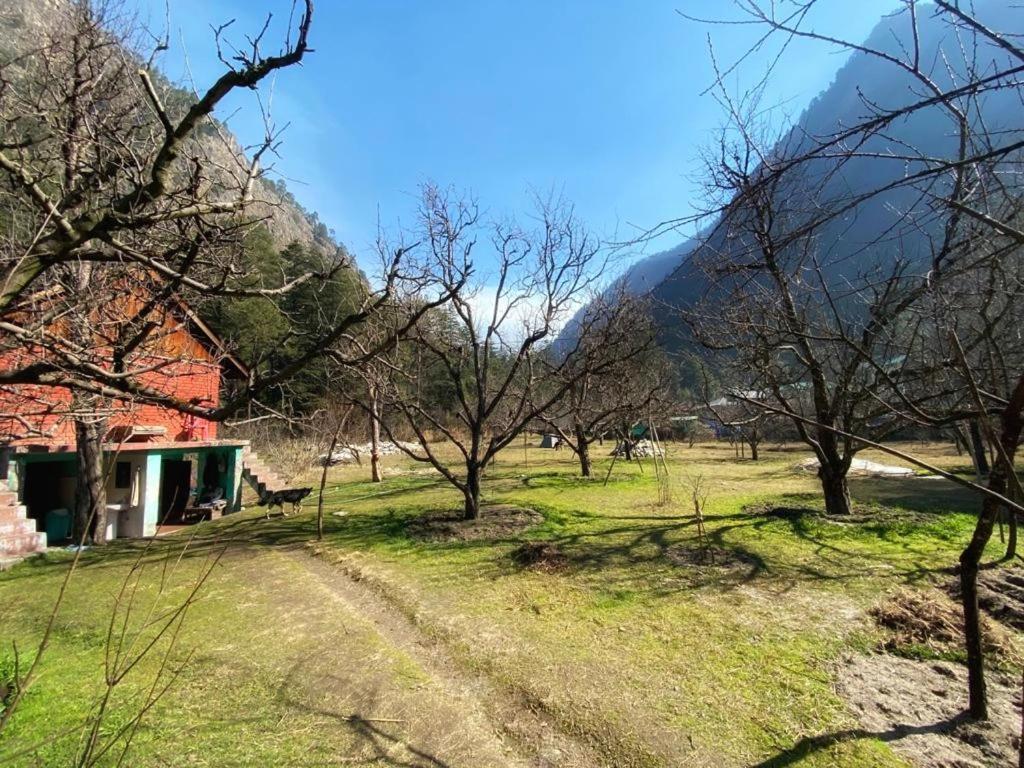 The Royal Orchard Kasol Hotel Buitenkant foto