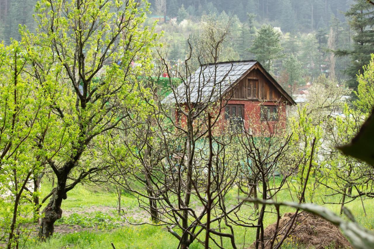 The Royal Orchard Kasol Hotel Buitenkant foto